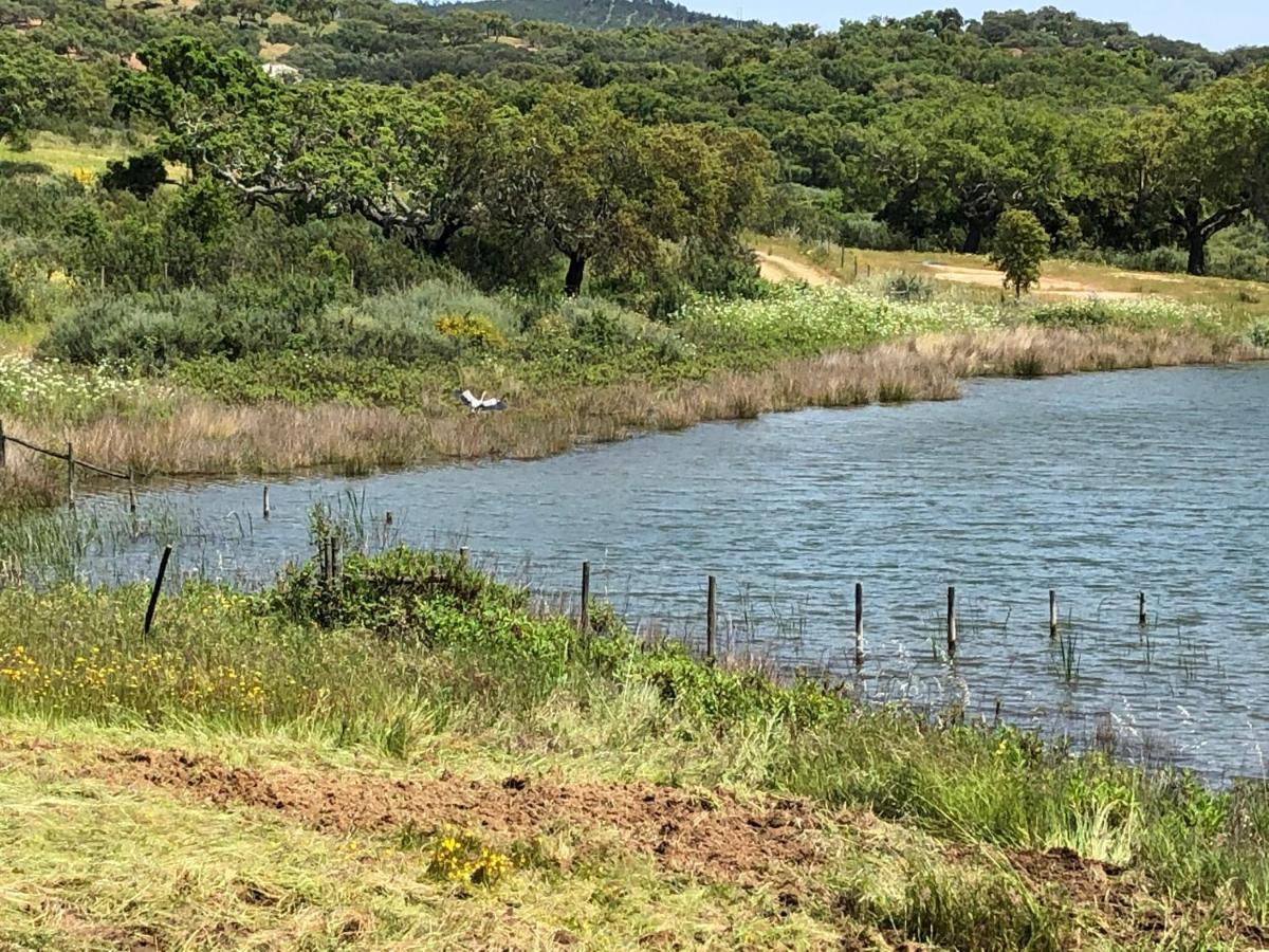 Fontes - A Essencia Do Alentejo Com Lago Privado Redondo Zewnętrze zdjęcie