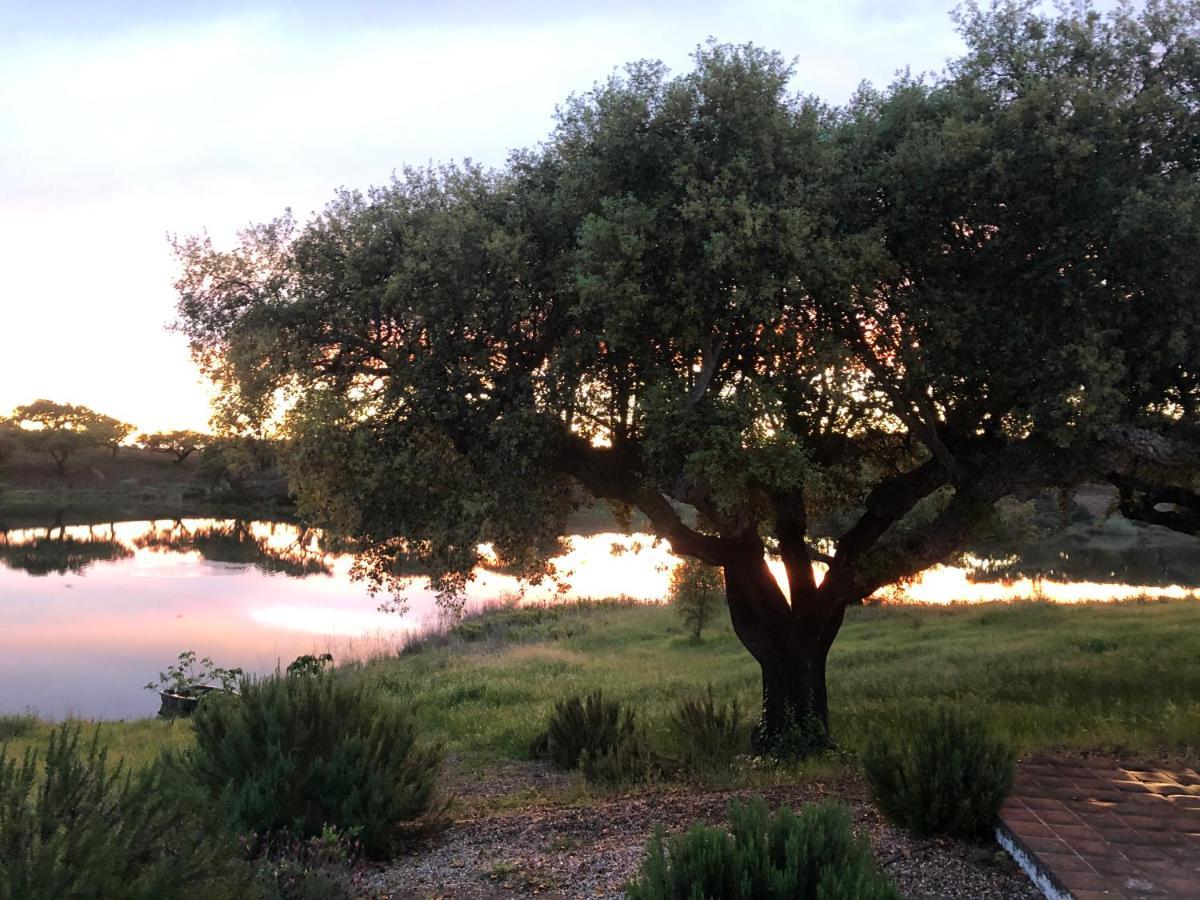Fontes - A Essencia Do Alentejo Com Lago Privado Redondo Zewnętrze zdjęcie
