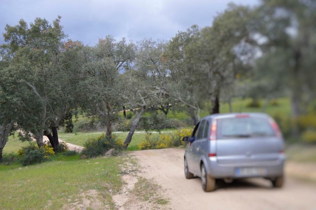 Fontes - A Essencia Do Alentejo Com Lago Privado Redondo Zewnętrze zdjęcie